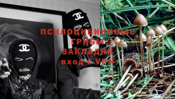 прущая мука Бугульма