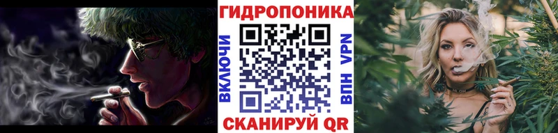 Каннабис SATIVA & INDICA  дарнет шоп  Данков 